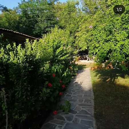 Salih * Kemer