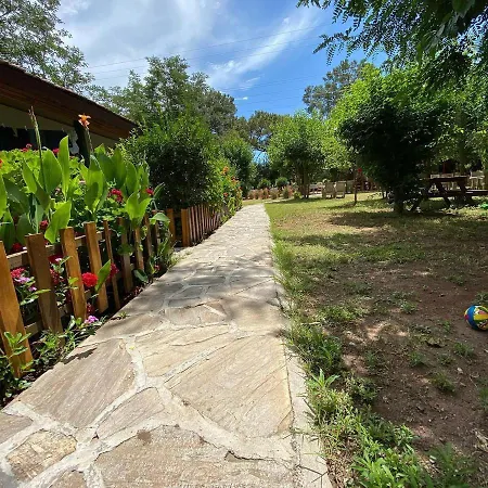 Salih Homestay